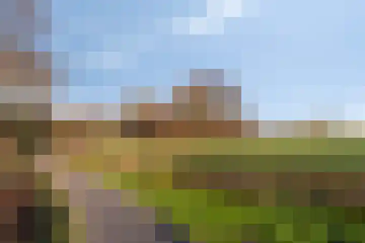 Landeweel 11 Wouw thumbnail 39