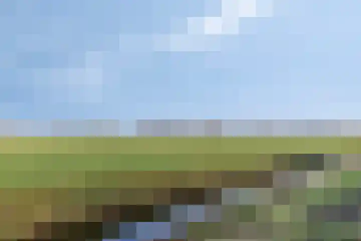 Landeweel 11 Wouw thumbnail 40