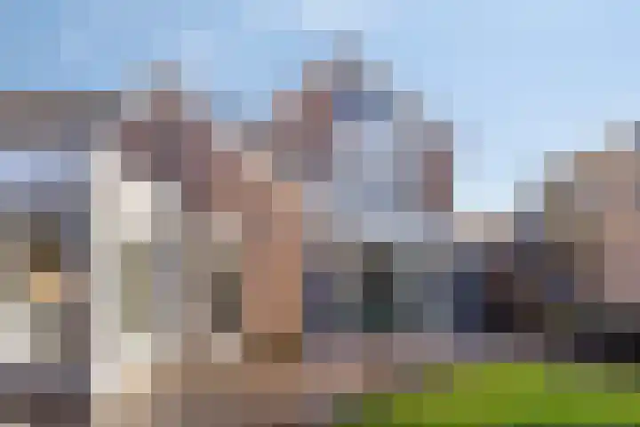 Landeweel 11 Wouw thumbnail 7