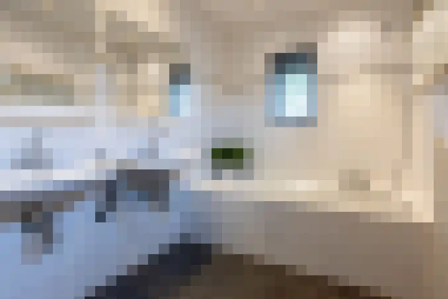 Landeweel 22 Wouw thumbnail 23
