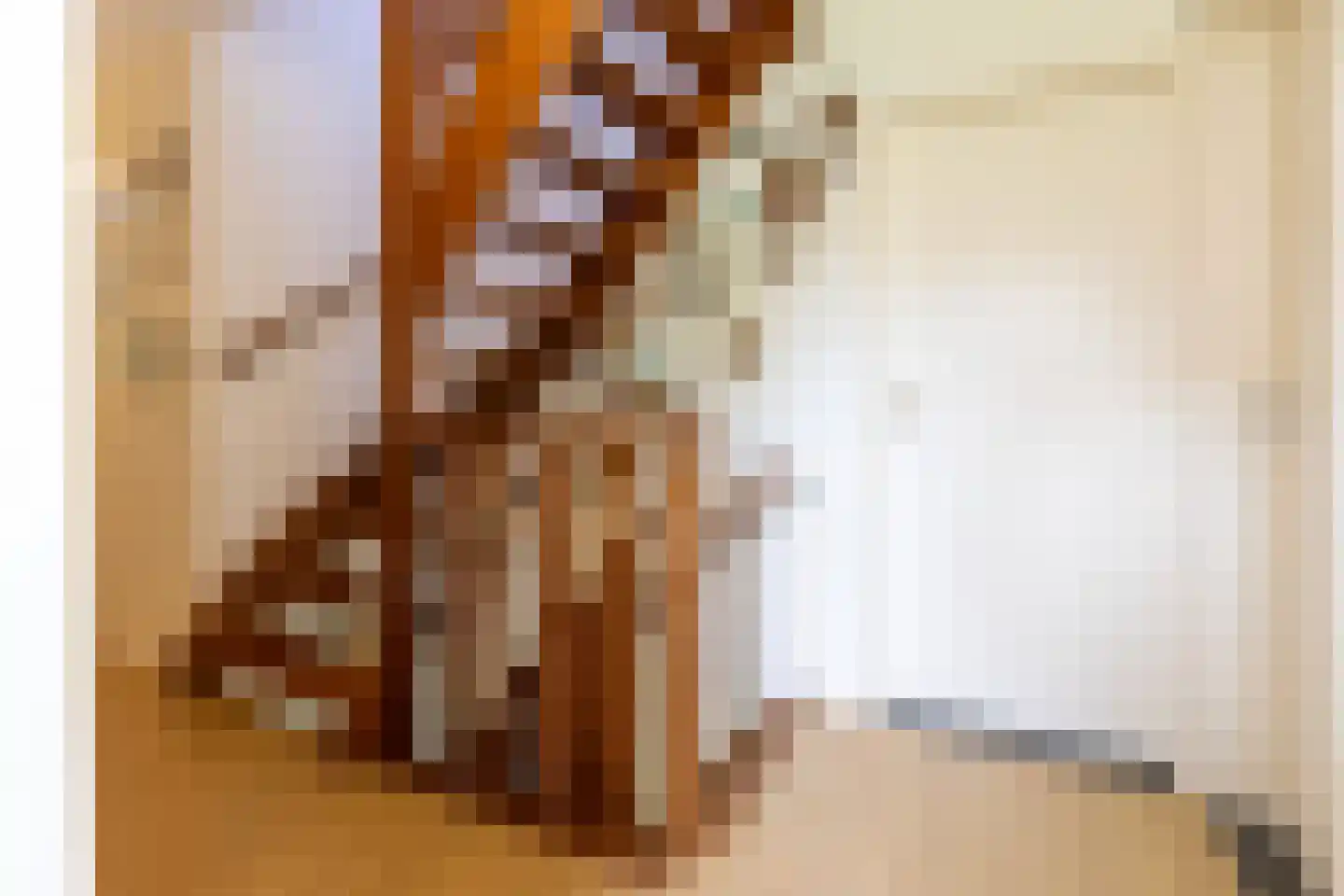 Landeweel 22 Wouw thumbnail 36