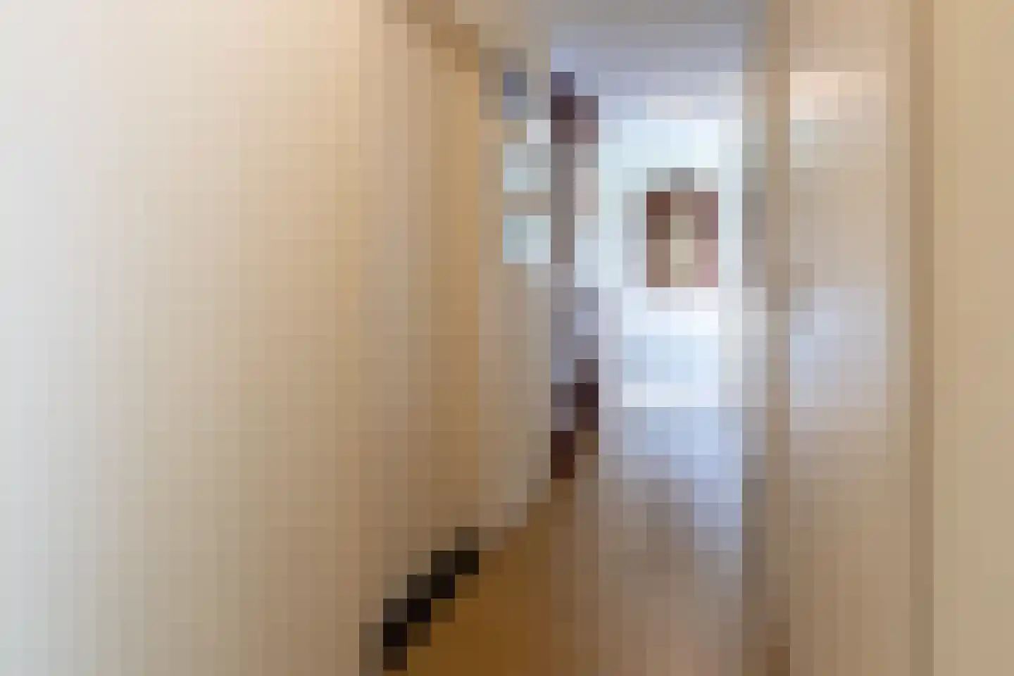 Landeweel 22 Wouw thumbnail 37