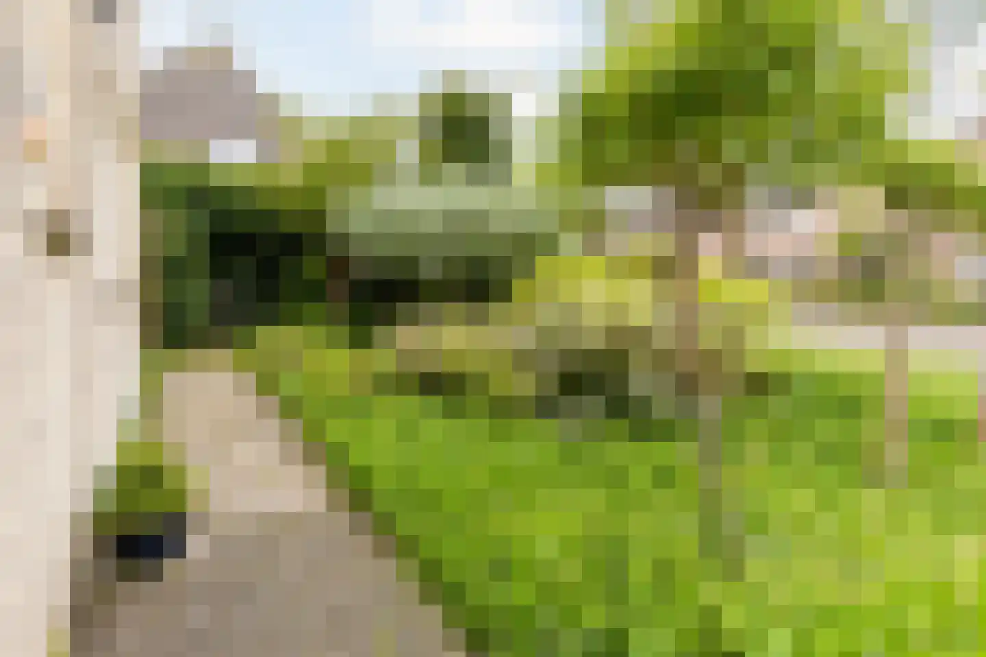Landeweel 22 Wouw thumbnail 4