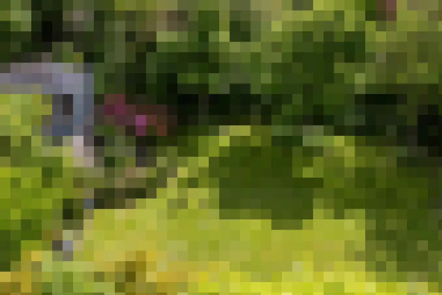 Landeweel 22 Wouw thumbnail 40