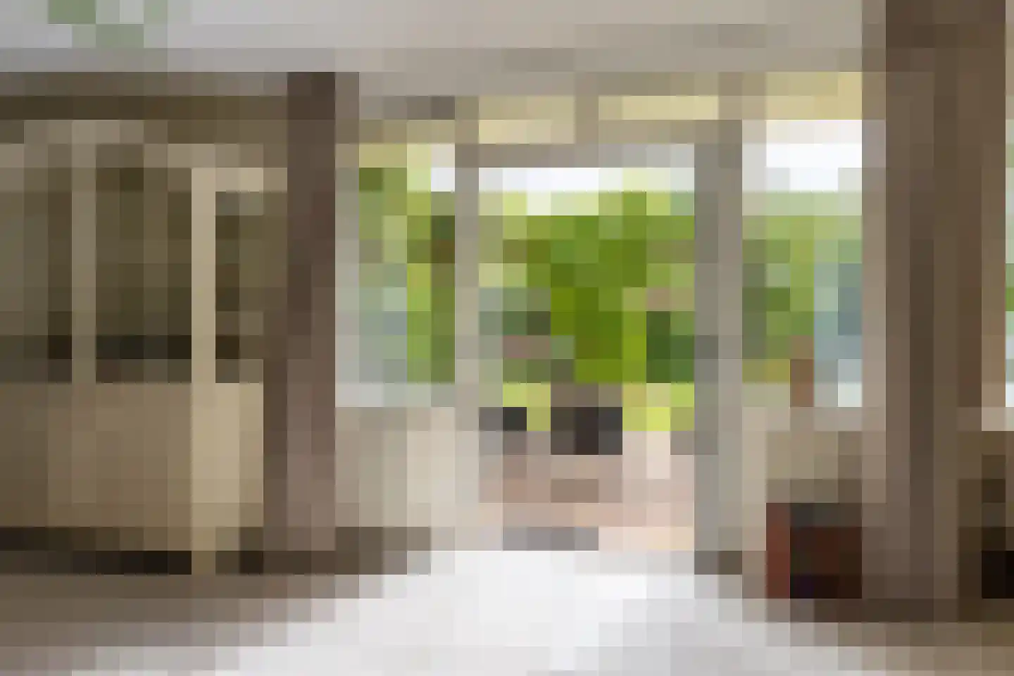 Landeweel 22 Wouw thumbnail 42