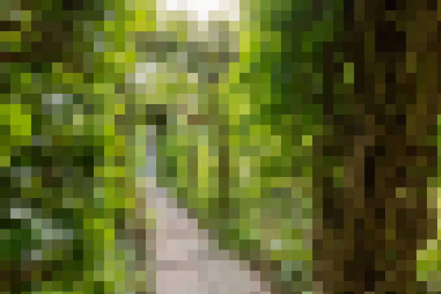 Landeweel 22 Wouw thumbnail 43