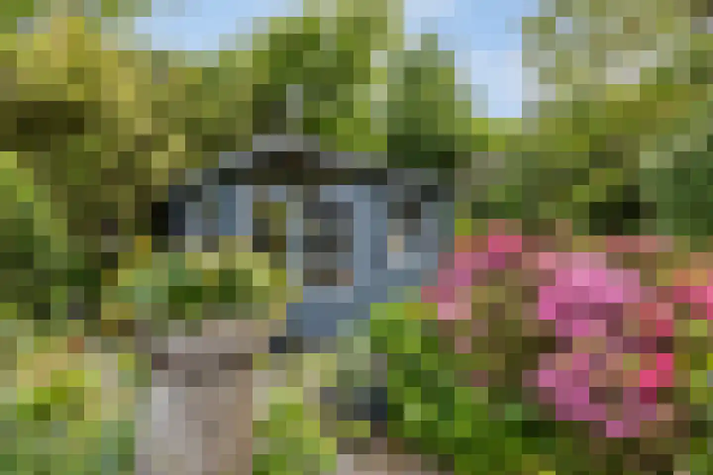 Landeweel 22 Wouw thumbnail 44