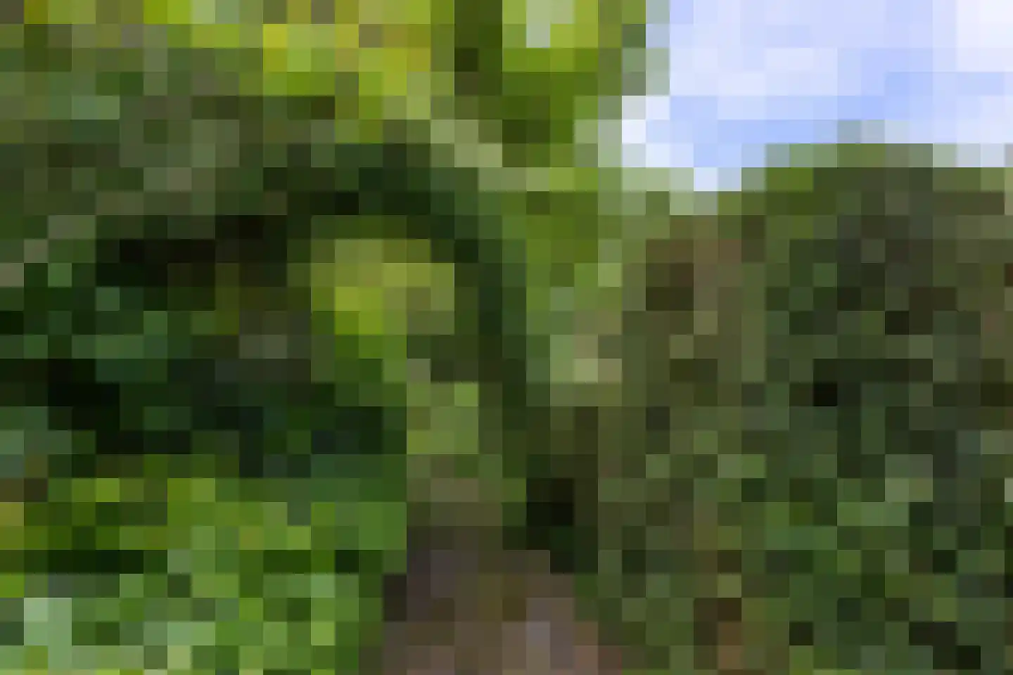Landeweel 22 Wouw thumbnail 45
