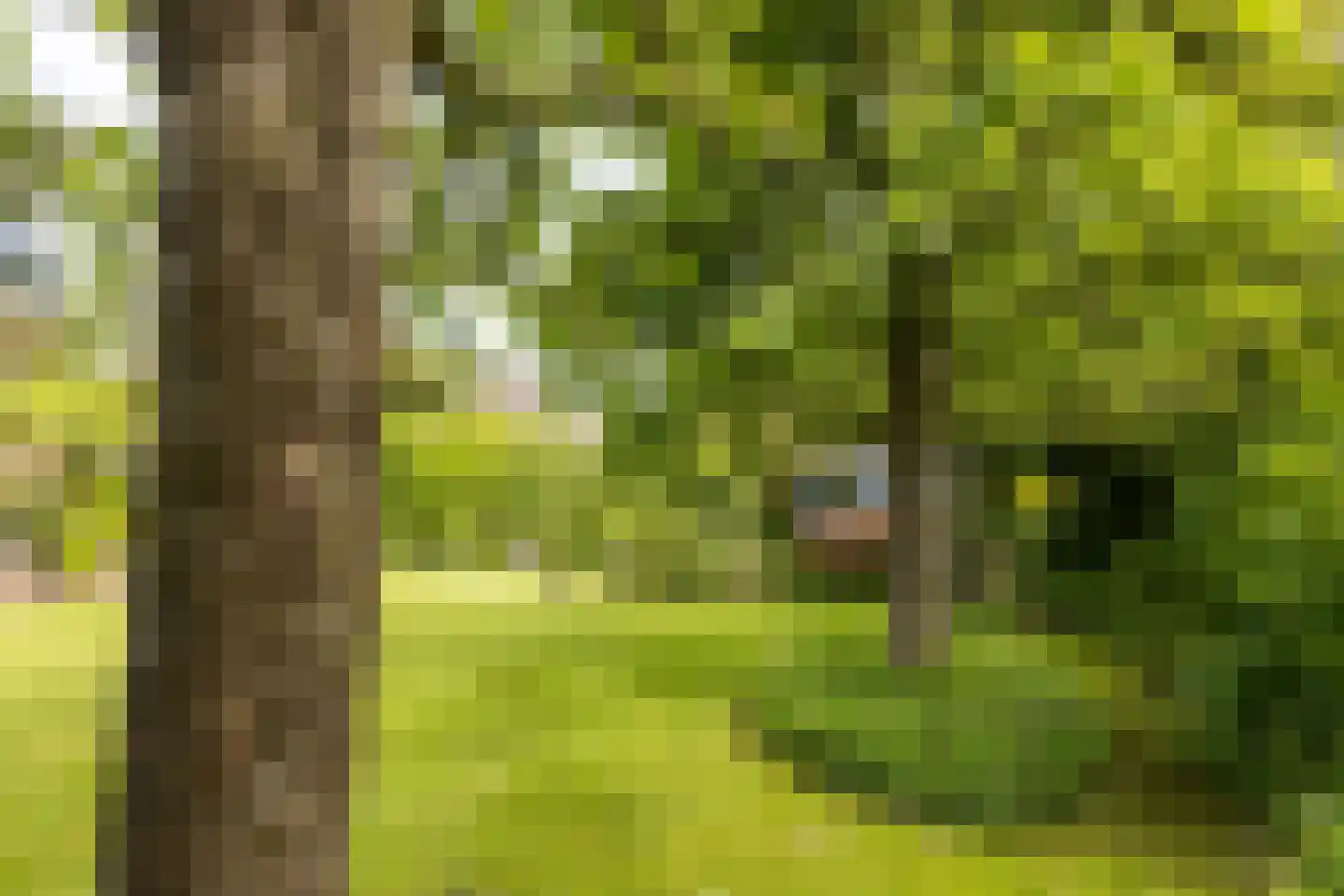 Landeweel 22 Wouw thumbnail 47