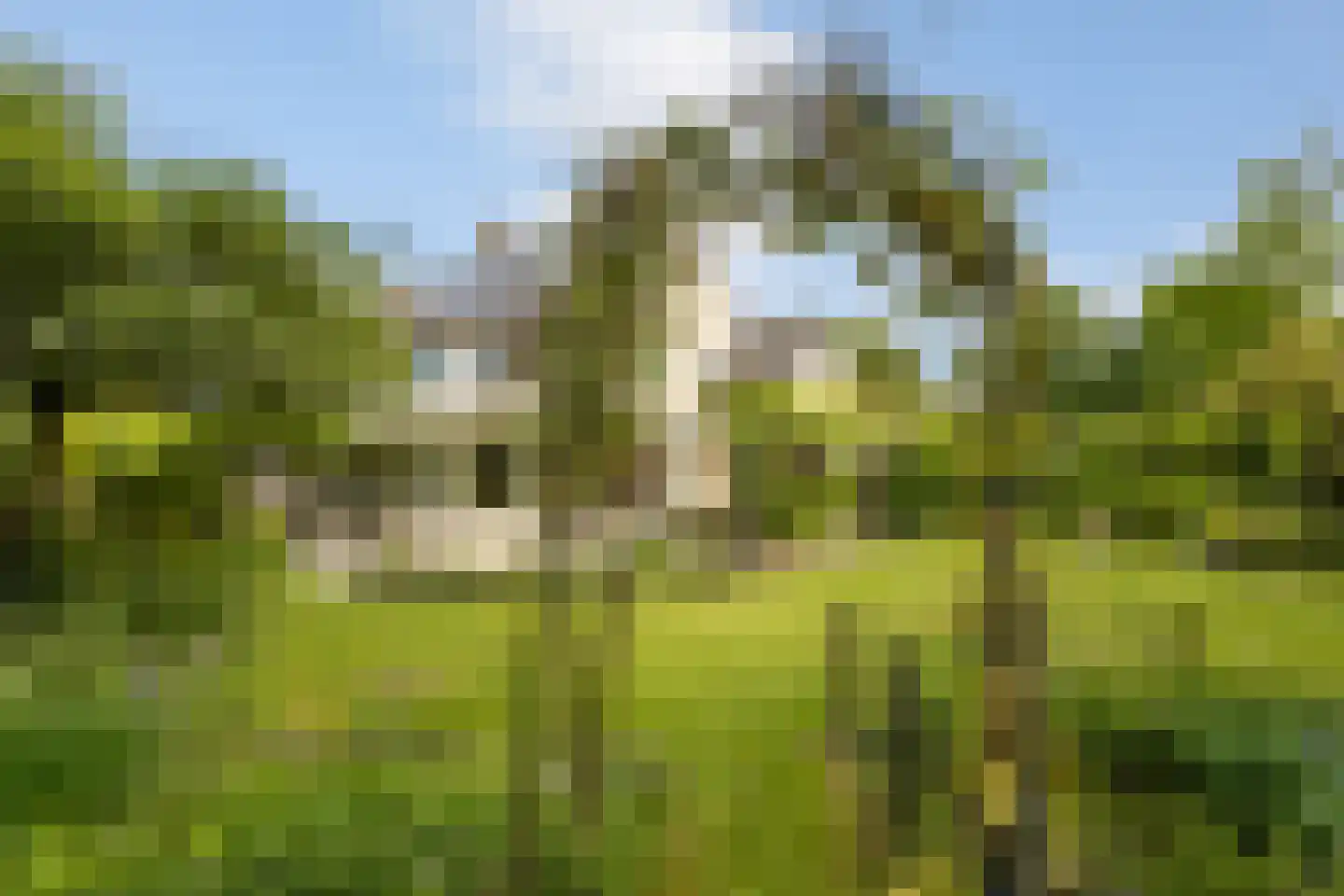 Landeweel 22 Wouw thumbnail 48