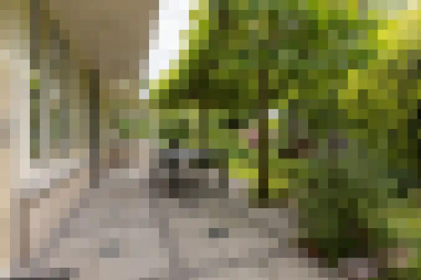Landeweel 22 Wouw thumbnail 49