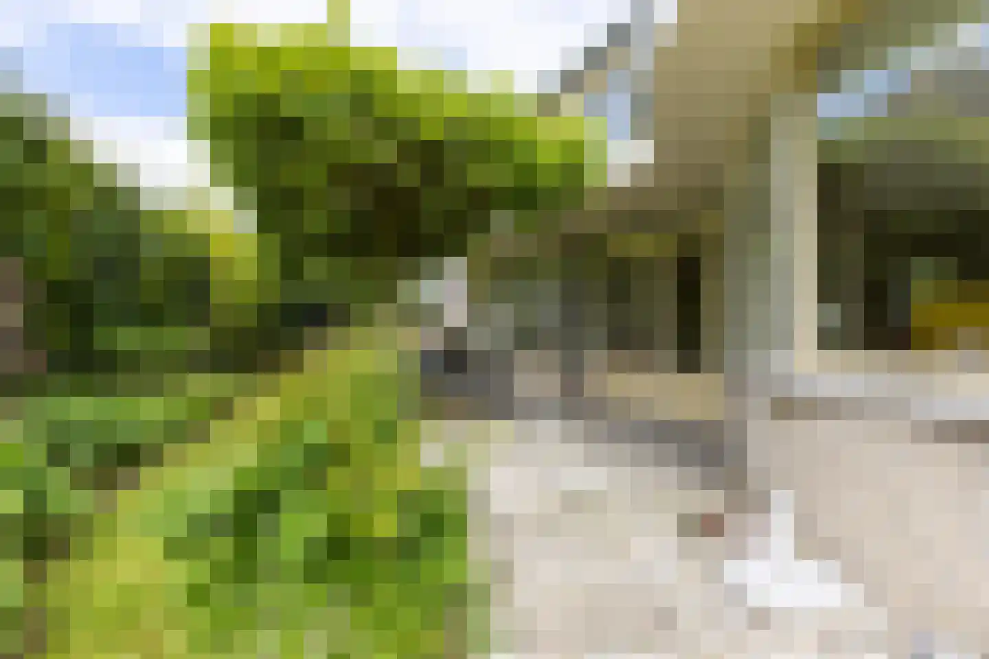 Landeweel 22 Wouw thumbnail 50