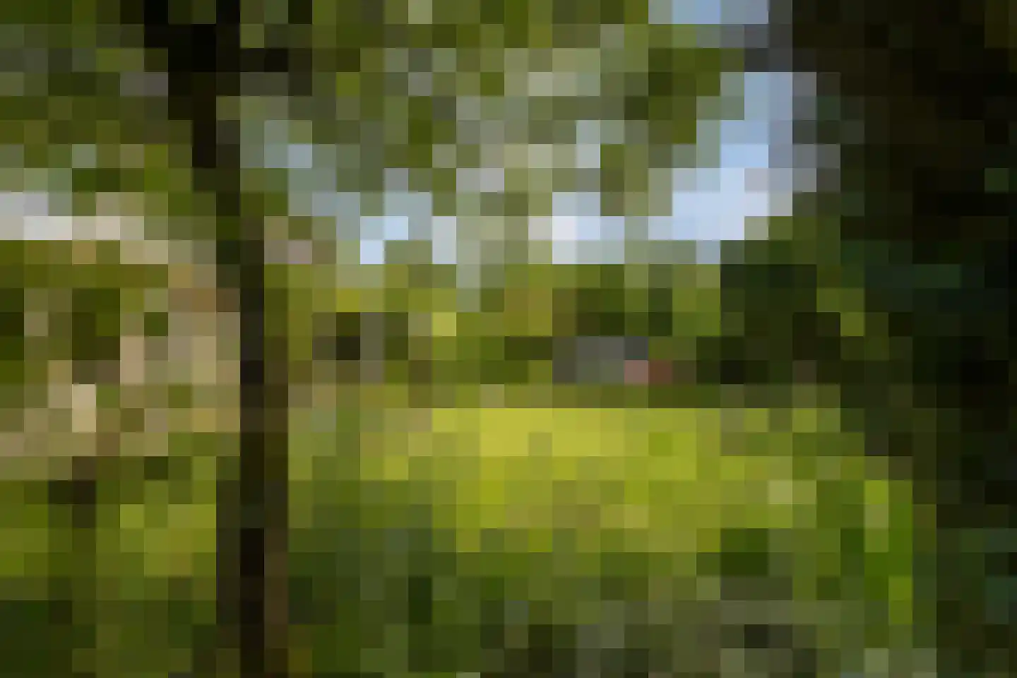 Landeweel 22 Wouw thumbnail 51
