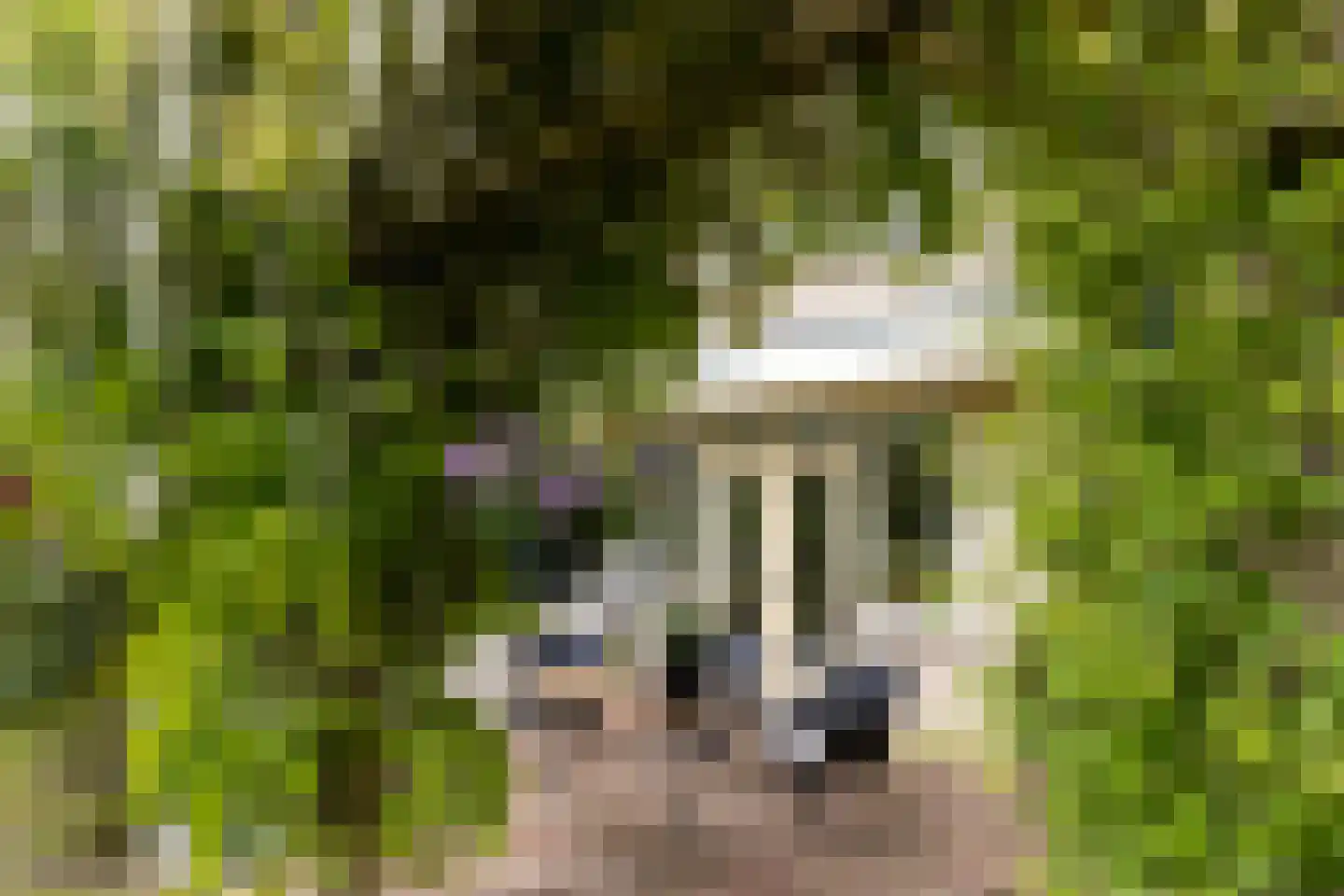 Landeweel 22 Wouw thumbnail 52