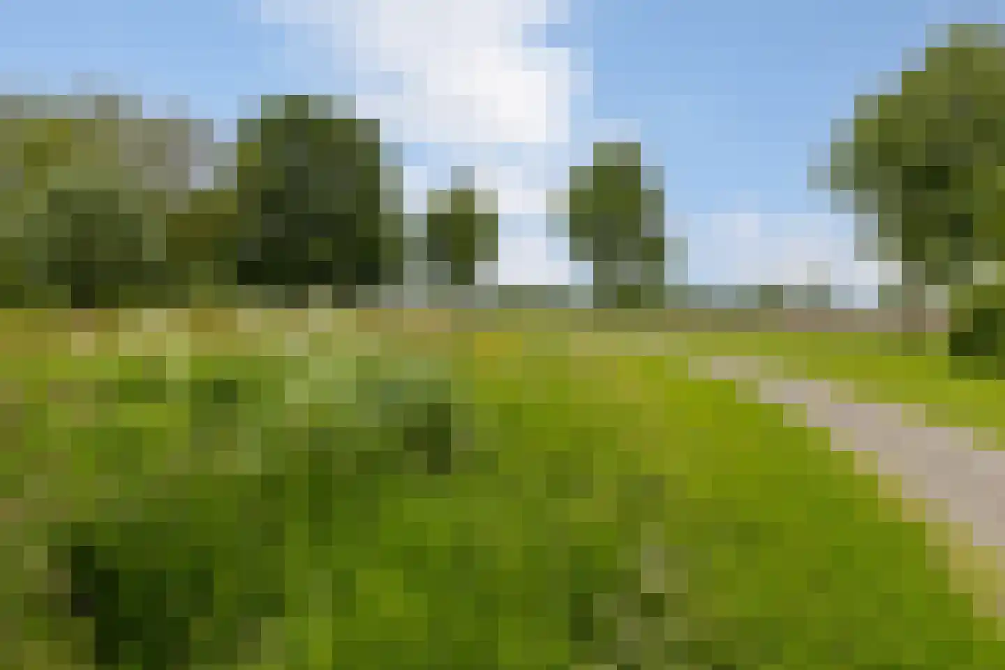 Landeweel 22 Wouw thumbnail 57