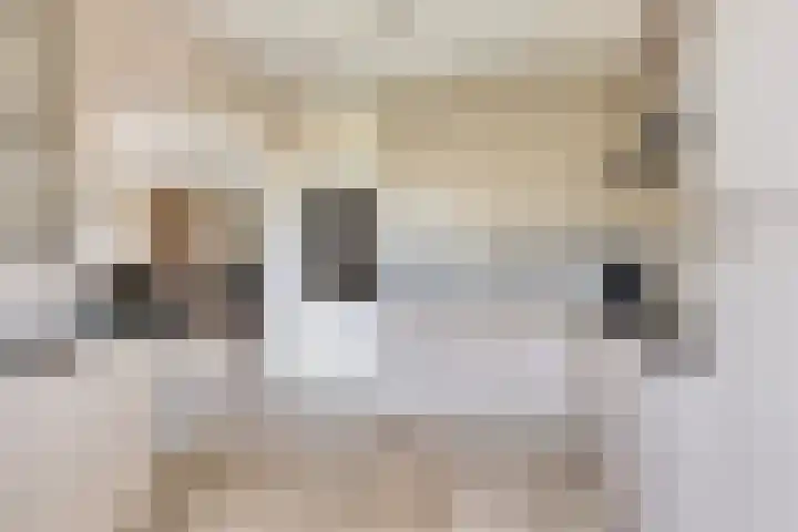 Landeweel 8 Wouw thumbnail 16