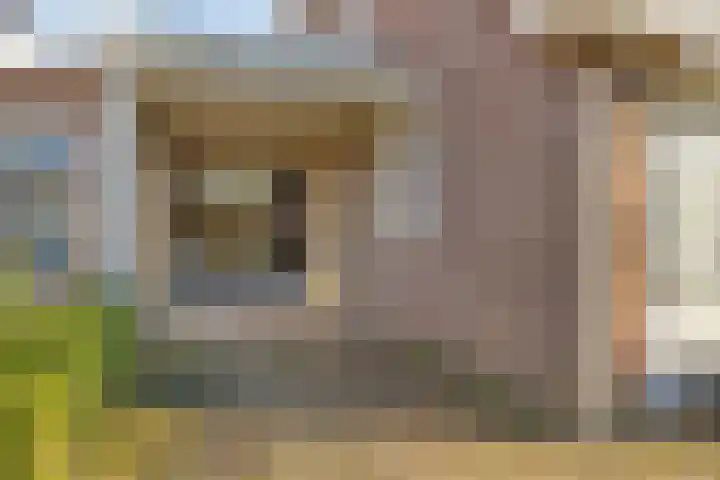 Landeweel 8 Wouw thumbnail 59