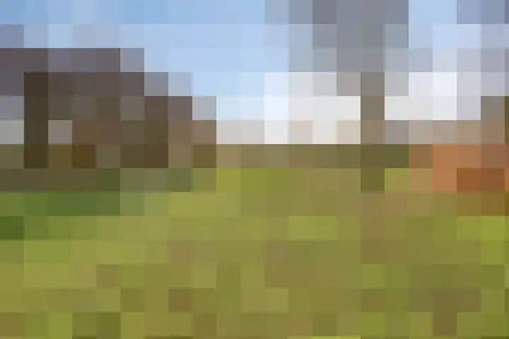 Landeweel 8 Wouw thumbnail 61