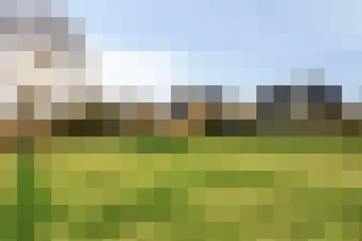 Landeweel 8 Wouw thumbnail 62