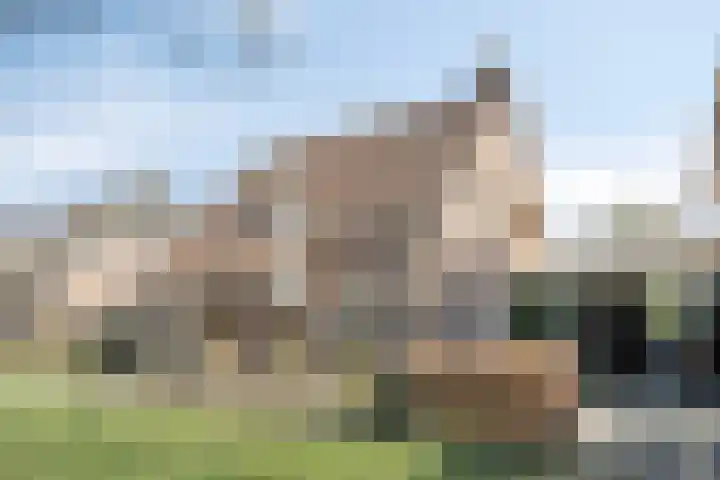 Landeweel 8 Wouw thumbnail 66