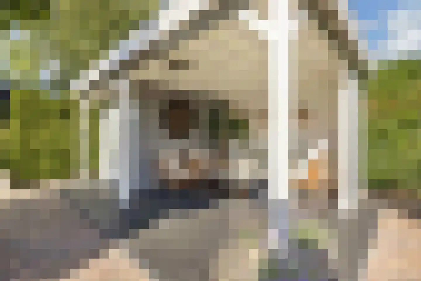 Landfort 83 Lelystad thumbnail 36