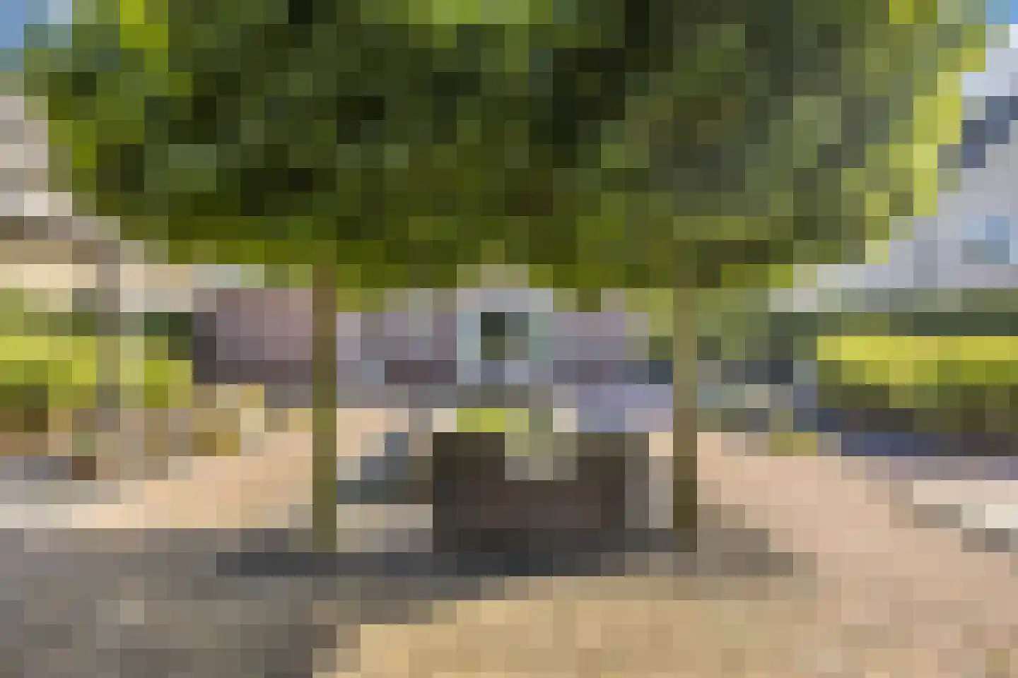 Landfort 83 Lelystad thumbnail 41