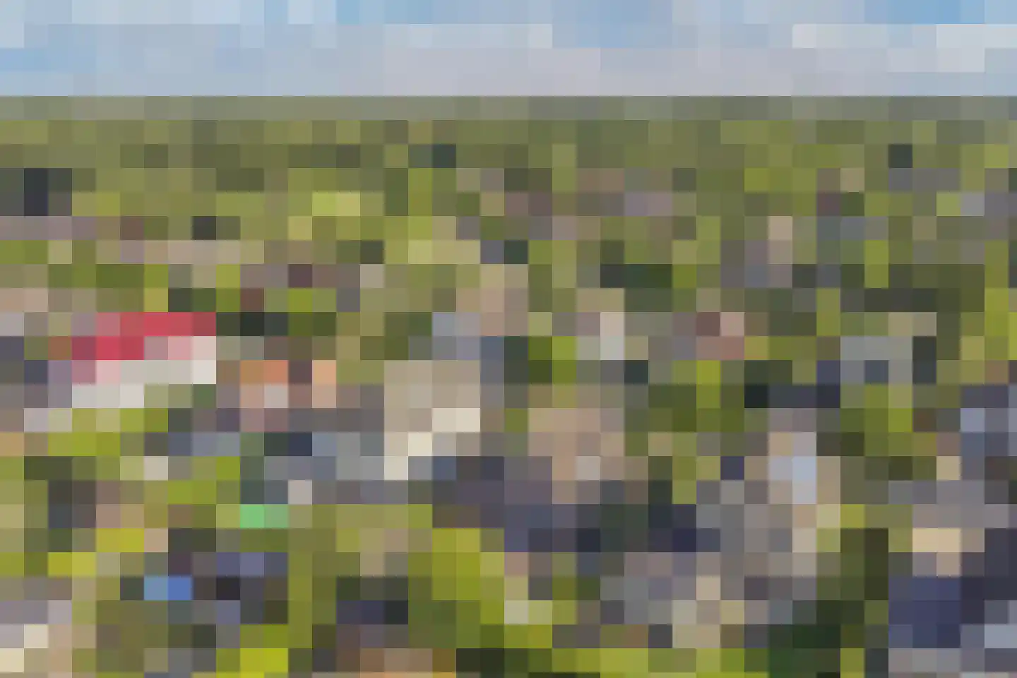 Landfort 83 Lelystad thumbnail 47