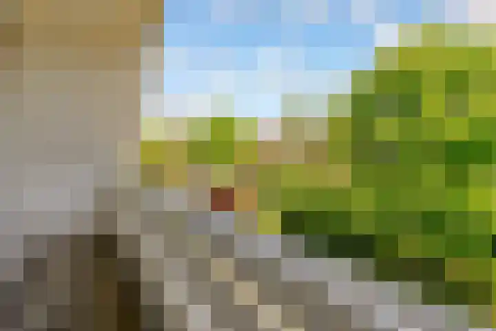Landfort 96 Lelystad thumbnail 34