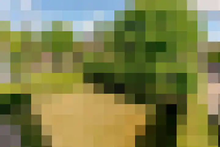 Landfort 96 Lelystad thumbnail 35