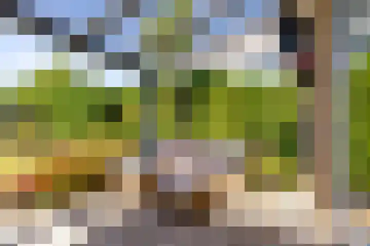 Landfort 96 Lelystad thumbnail 36