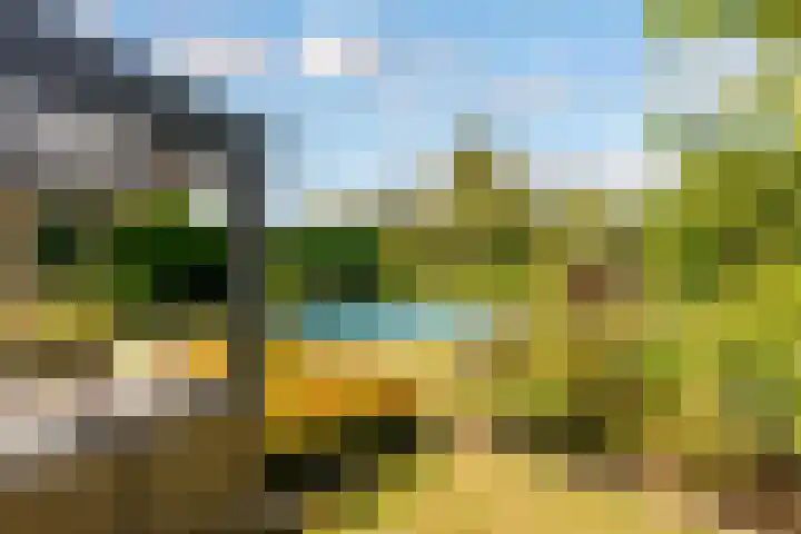 Landfort 96 Lelystad thumbnail 41