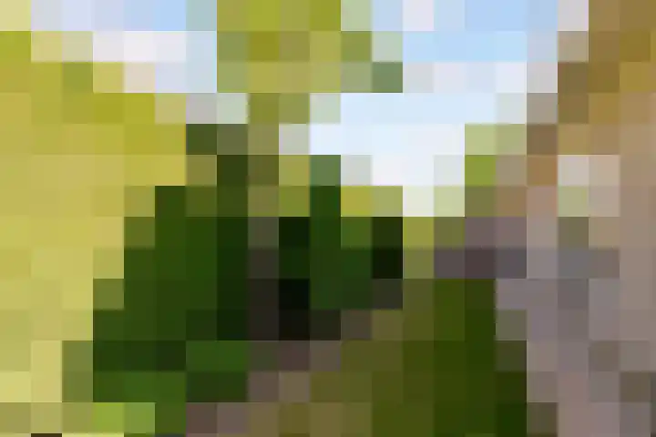 Landfort 96 Lelystad thumbnail 43