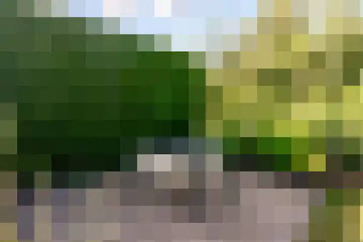 Landfort 96 Lelystad thumbnail 44