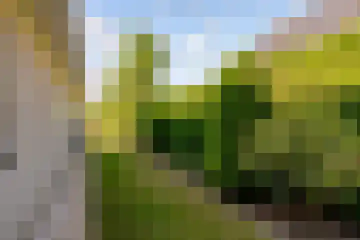 Landfort 96 Lelystad thumbnail 46