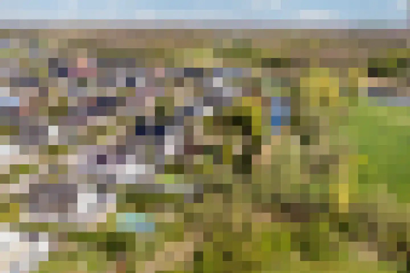 Landfort 96 Lelystad thumbnail 47