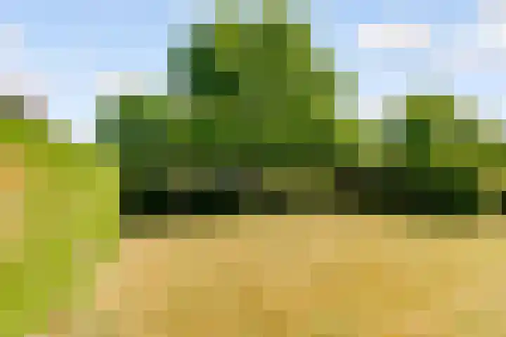 Landfort 96 Lelystad thumbnail 48