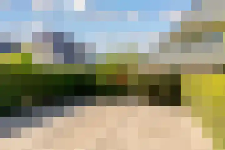 Landfort 96 Lelystad thumbnail 49