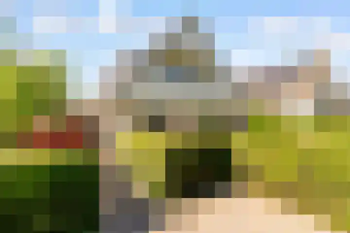 Landfort 96 Lelystad thumbnail 55