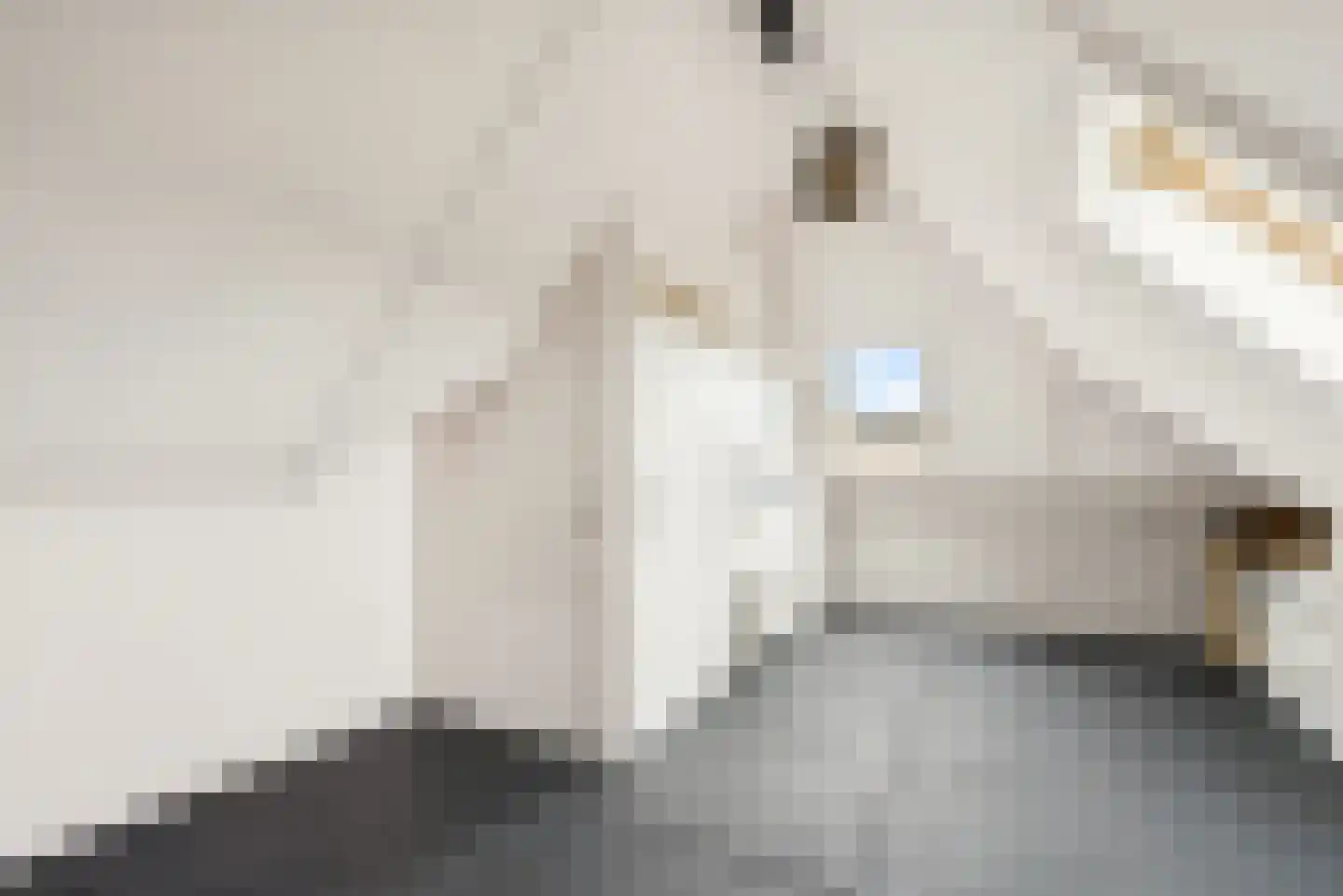 Landfort 97 Lelystad thumbnail 36