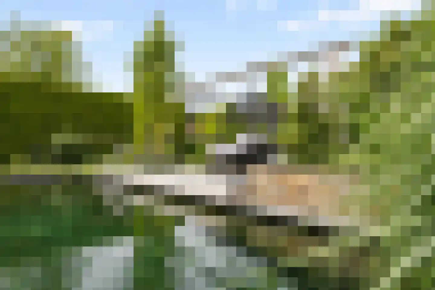 Landfort 97 Lelystad thumbnail 51