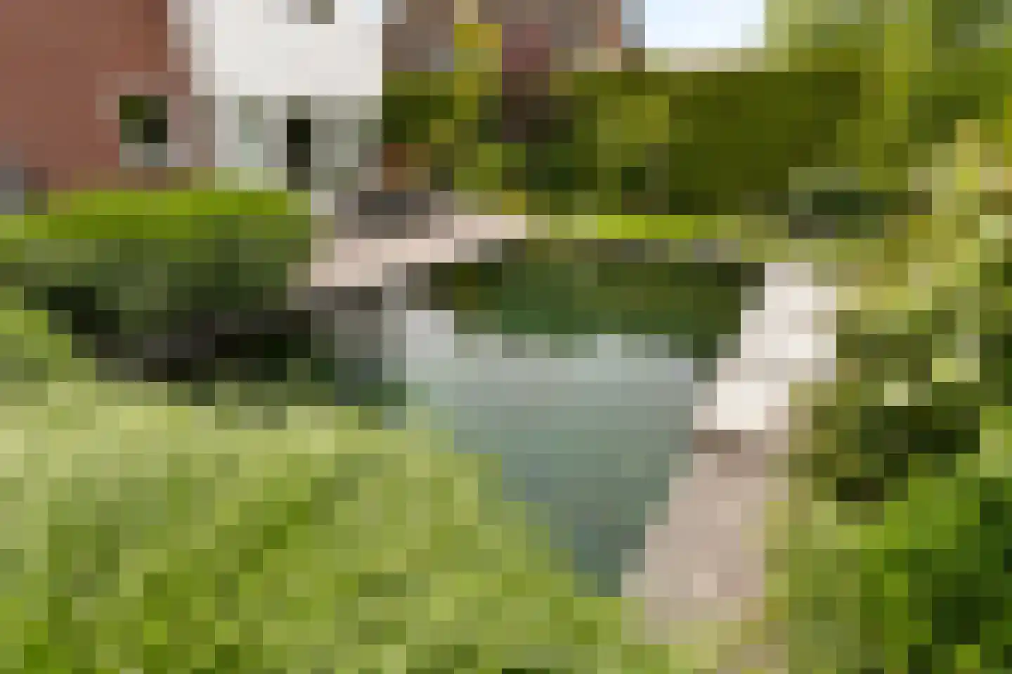 Landfort 97 Lelystad thumbnail 52