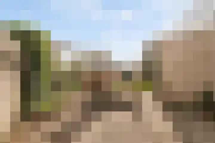 Landgoed 10 Didam thumbnail 11