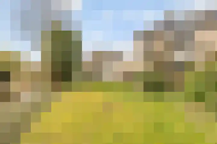 Landgoed 10 Didam thumbnail 12