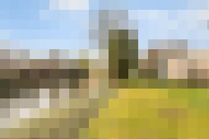 Landgoed 10 Didam thumbnail 13