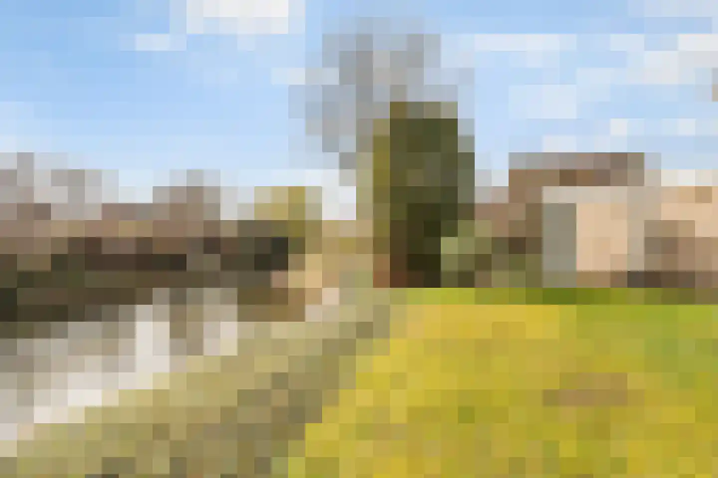 Landgoed 10 Didam thumbnail 13