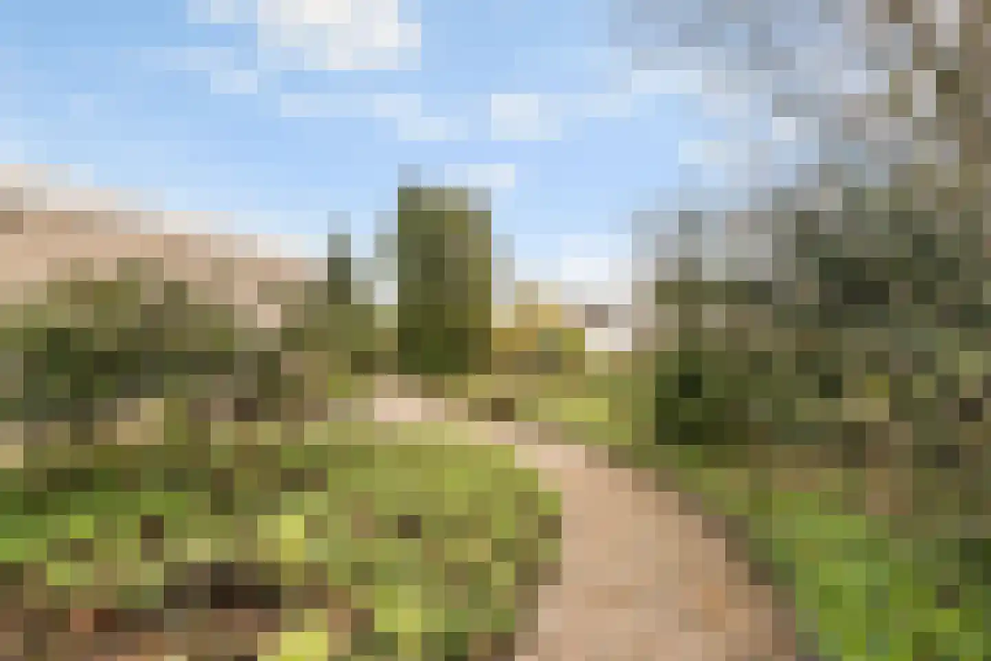 Landgoed 10 Didam thumbnail 14