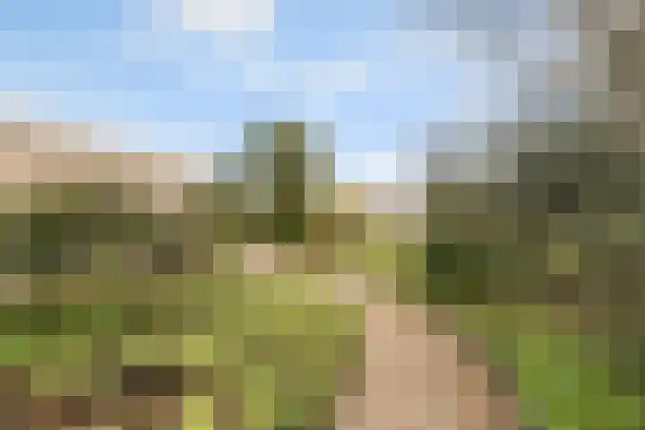 Landgoed 10 Didam thumbnail 14