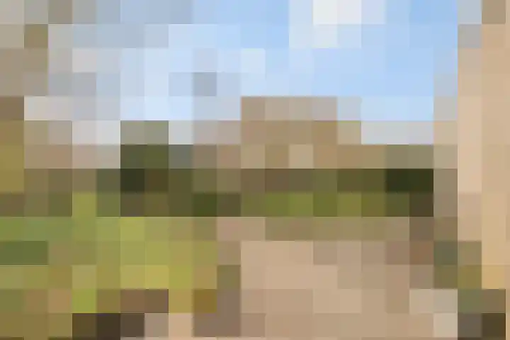 Landgoed 10 Didam thumbnail 15