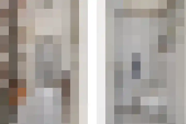 Landgoed 10 Didam thumbnail 17