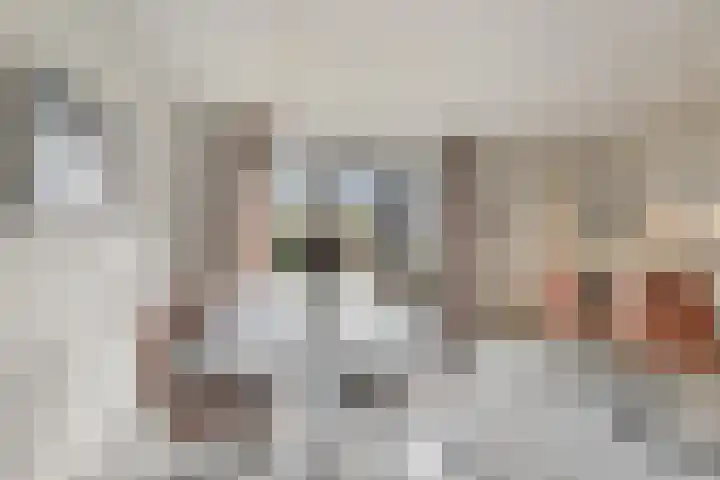 Landgoed 10 Didam thumbnail 6